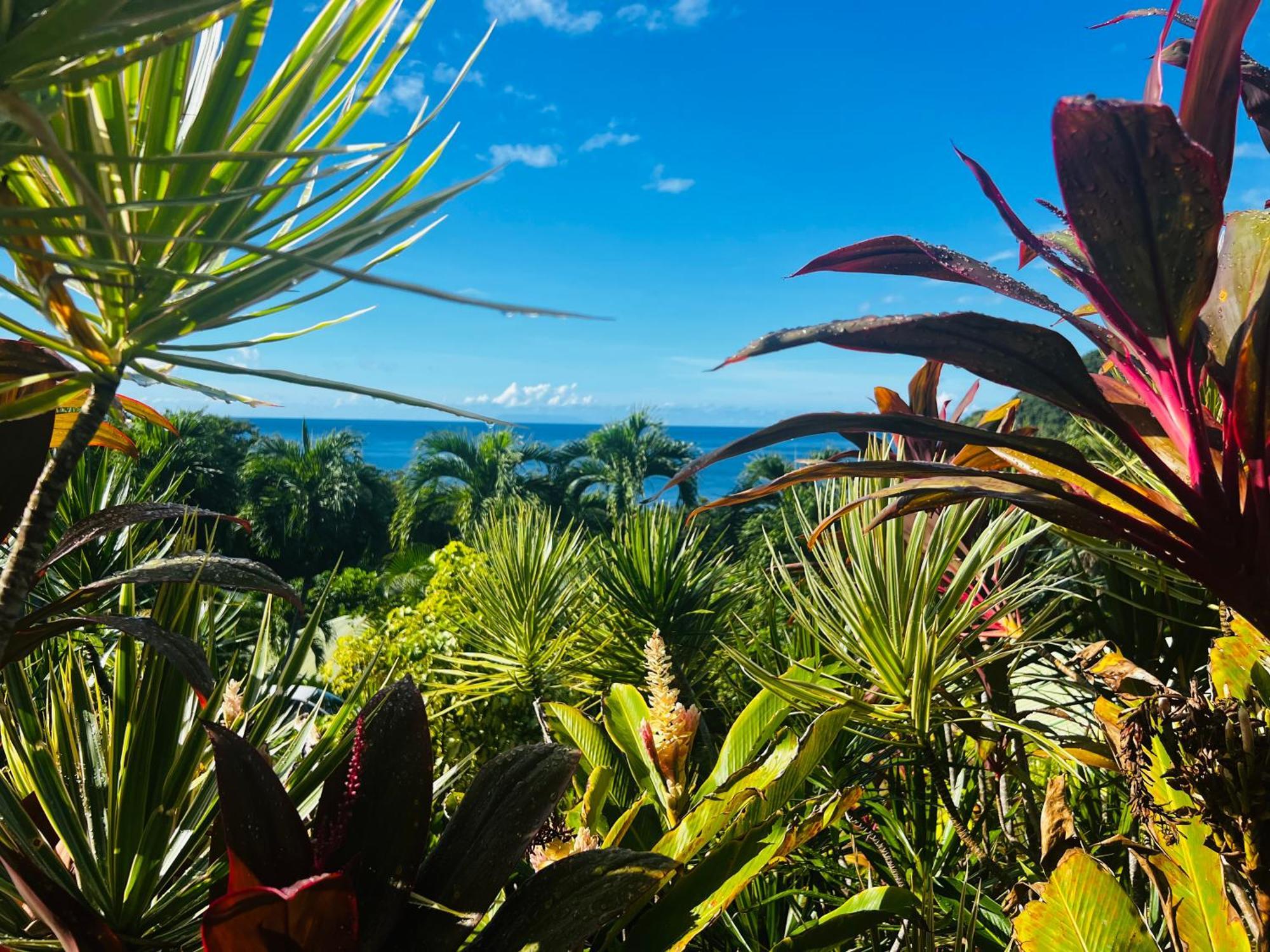 Vue Mer/3Beds/Piscine/Wifi/900 Metres De La Plage Десе Екстериор снимка